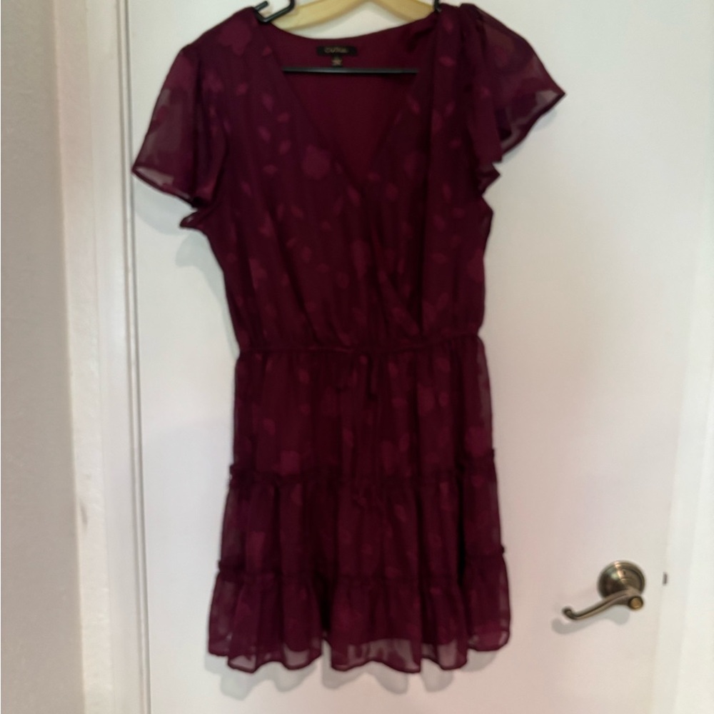 Burgundy Dress